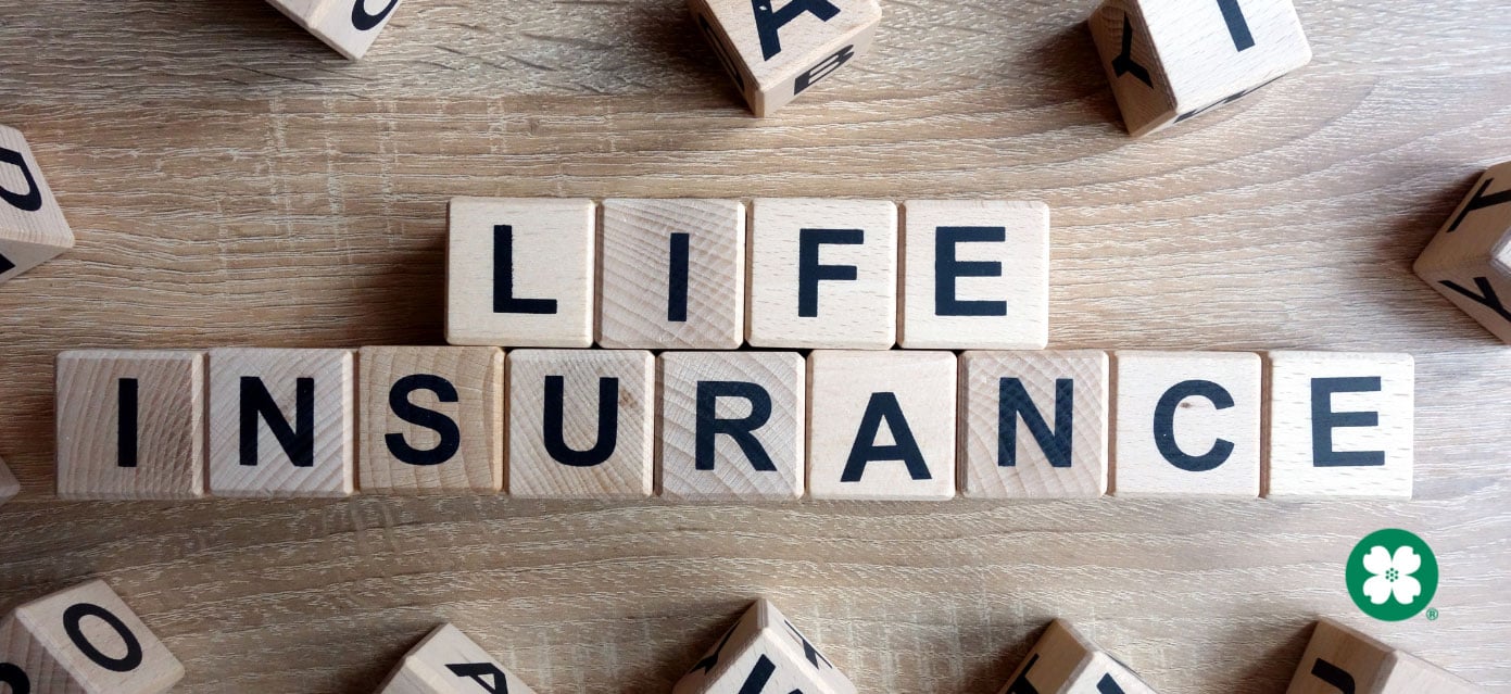 Blocks spelling out the word life insurance