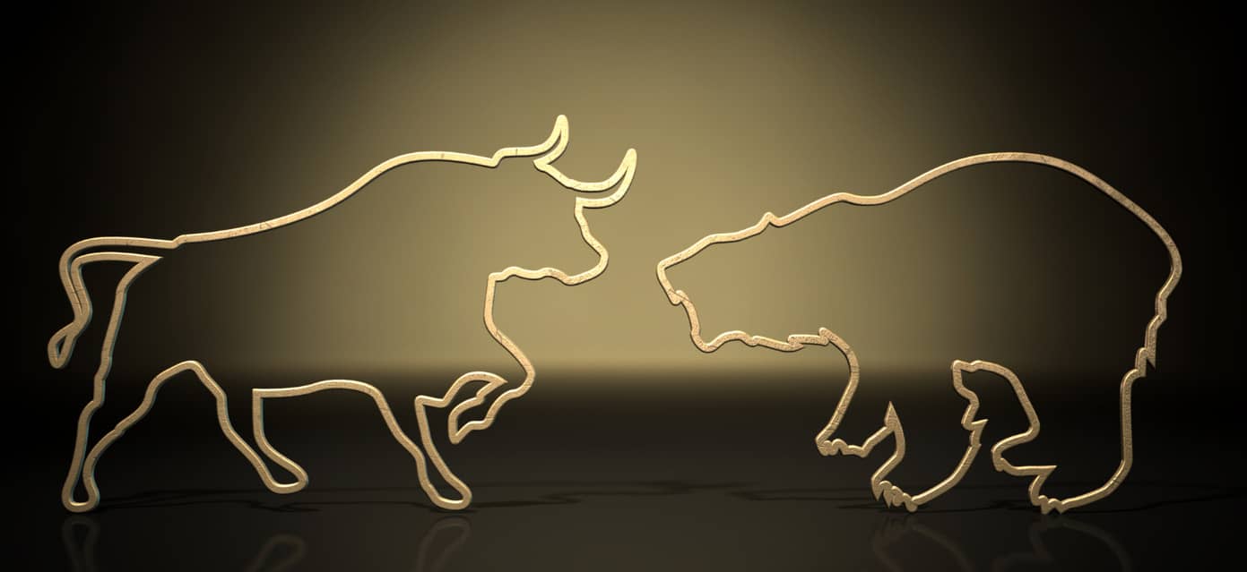 Bear and bull fighting