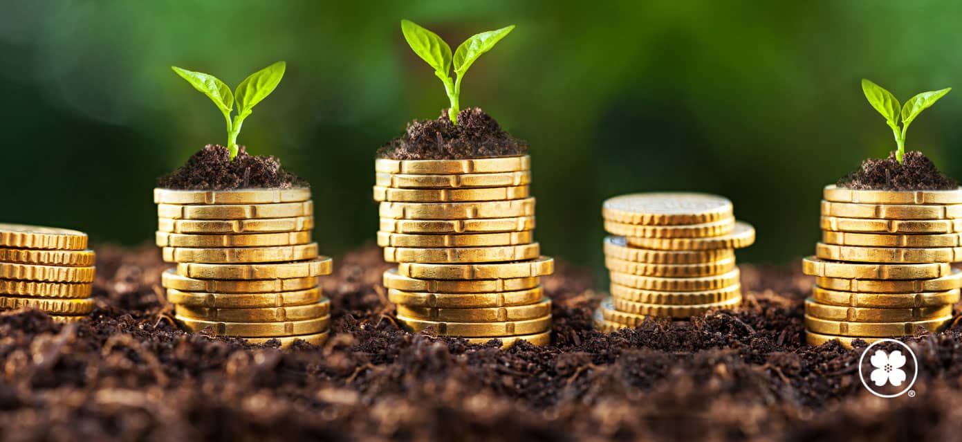 stacked up coins in dirt sprouting green leaves