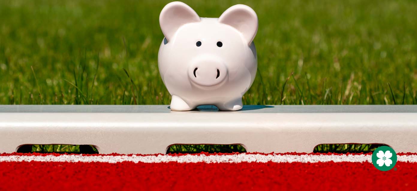 piggy bank sitting on football field